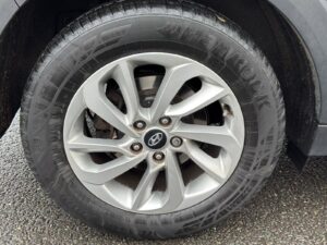 WhatsApp Image 2026-01-25 at 8.23.04 PM (10)