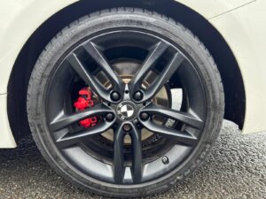 WhatsApp Image 2026-02-07 at 1.23.12 PM (1)