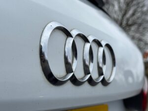 WhatsApp Image 2026-02-12 at 11.58.48 AM (3)