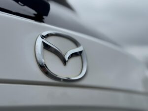 WhatsApp Image 2026-03-31 at 8.37.06 AM (3)